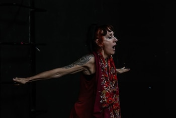 El ciclo anual de la