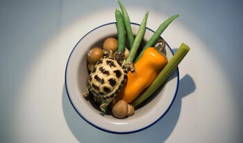 Ingredientes para una sopa china