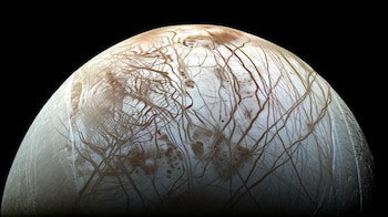 El estudio abre nuevas vías