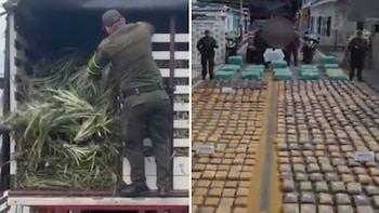 El decomiso de marihuana evitó