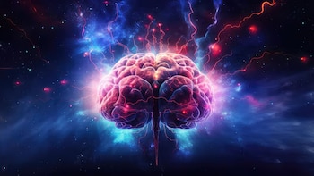 El cerebro no olvida al