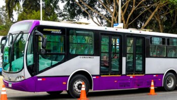 Este nuevo bus del Corredor