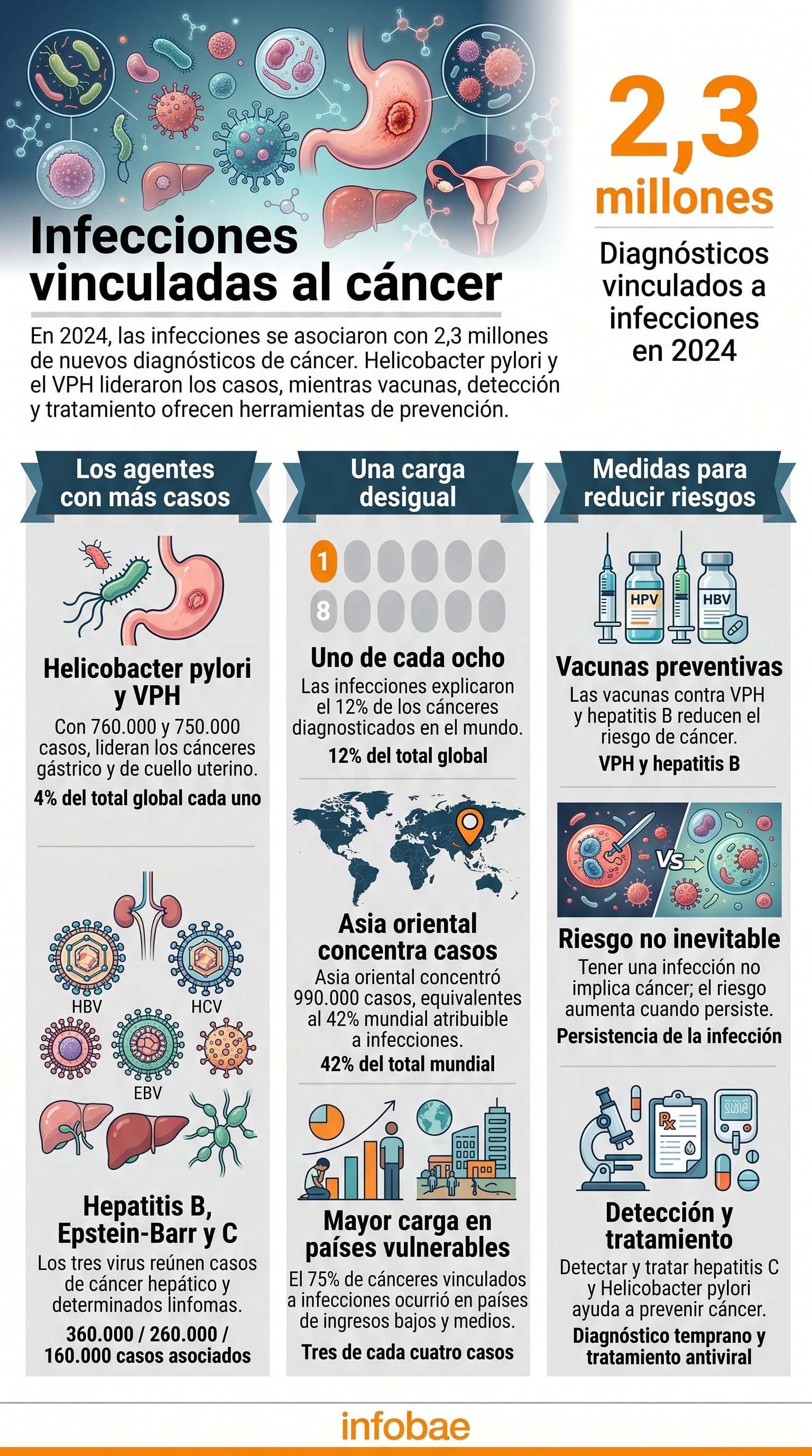 La bacteria Helicobacter pylori y el virus del papiloma humano representaron cerca de 1,5 millones de diagnósticos de cáncer en el mundo. (Imagen Ilustrativa Infobae)