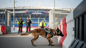 Los perros detectores de bombas