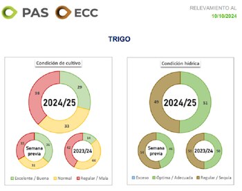 Relevamiento del estado del cultivo