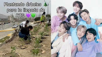 ‘ARMY’ de Perú planta árboles