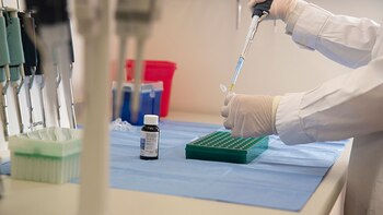 Las empresas hablan de una