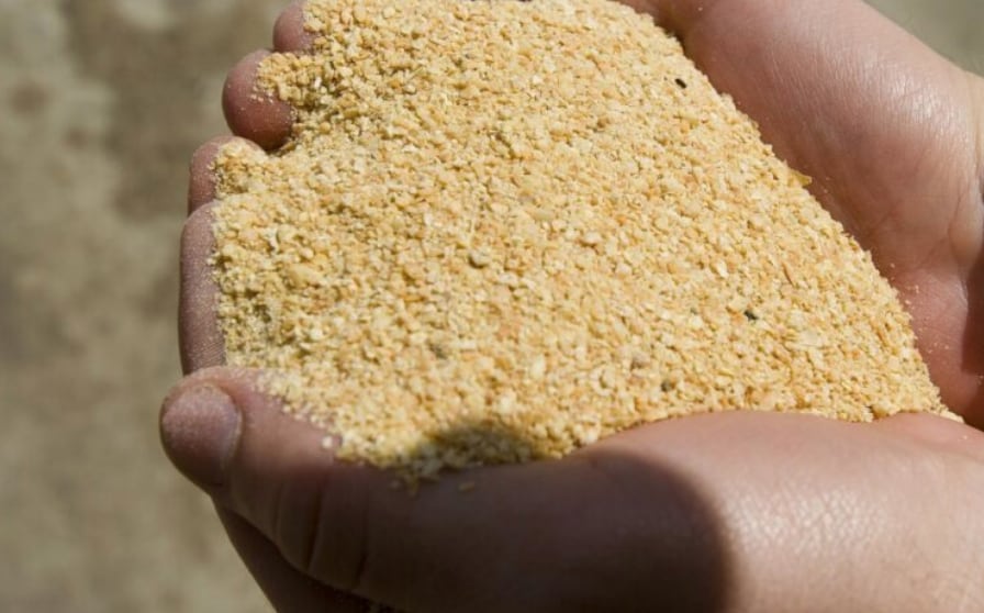 La harina de soja es uno de los productos especialmente demandados en el sudeste asiático (Revista Chacra)