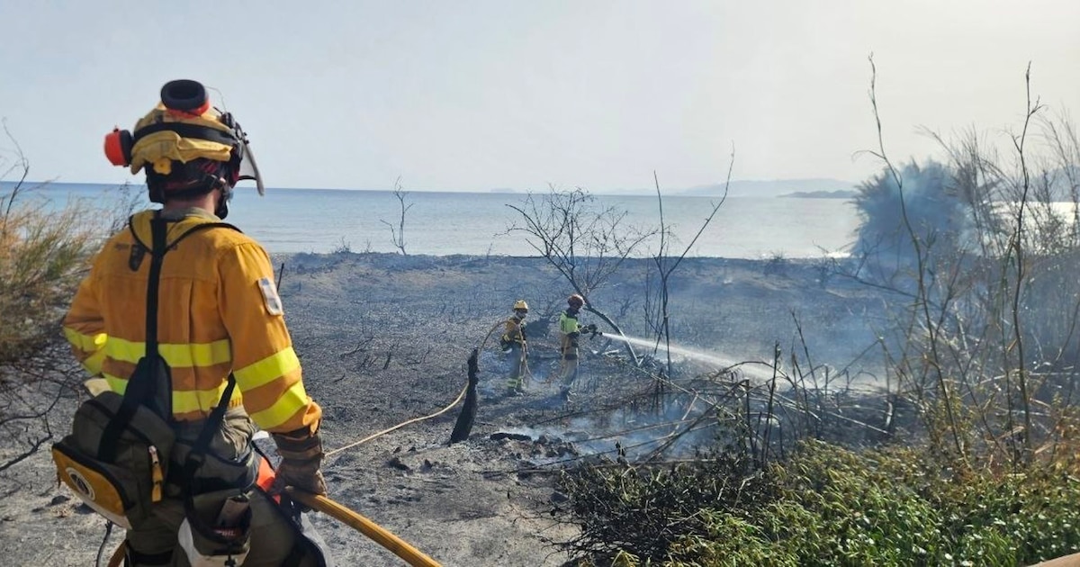 Extinguido el incendio forestal de la Sierra de Los Bujes (Jumilla) y controlado el de La Azohía (Cartagena)