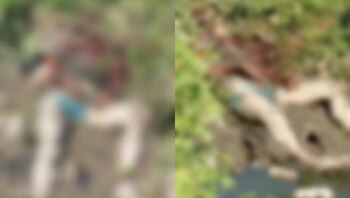 Las características del cuerpo incluían