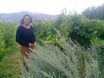 Por los incendios, Mariana Chaves