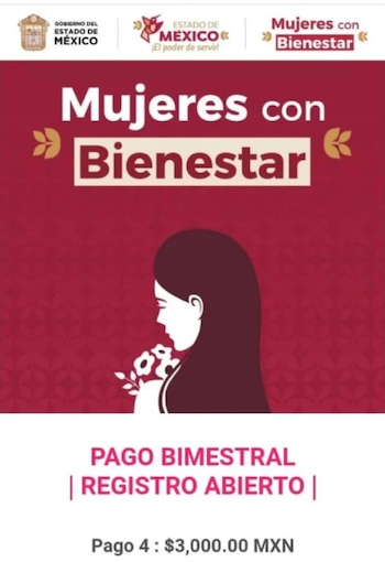 La iniciativa también contempla apoyo