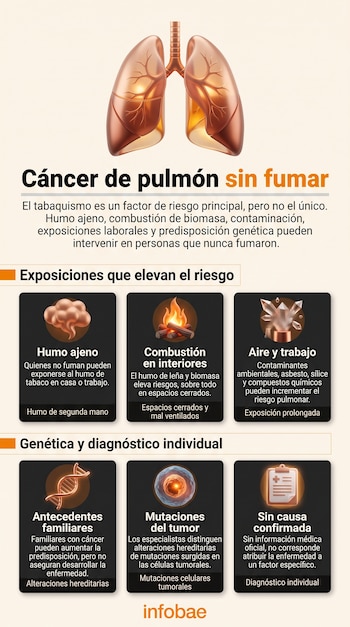 Infografía con una ilustración de pulmones en la parte superior y seis secciones informativas sobre el cáncer de pulmón en no fumadores.