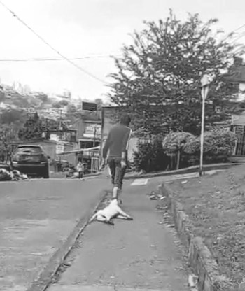 El dueño de un perro