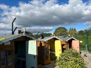 Tres casas de madera de un refugio para gatos mayores.