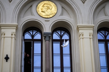 La paloma blanca vuela frente