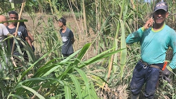 Hallaron el cadáver de la