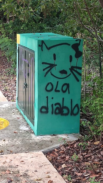 TikTok viraliza trend de casas