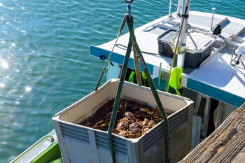 La determinación busca modernizar los