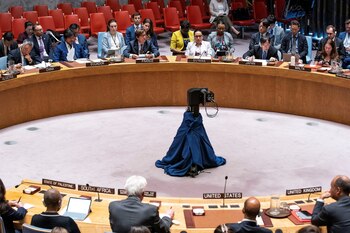 Estados Unidos pidió al Consejo