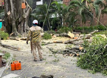 Equipos de obreros, acompañados de