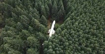 El avión en el bosque