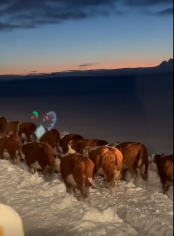 Enrique Jamieson explicó en Chacra