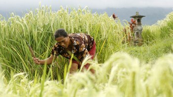 Identifican los lugares patrimonio de la Unesco más amenazados por la crisis climática