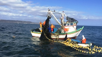 Sector pesquero latinoamericano advierte en Panamá cambios en especies por aumento de temperatura del mar