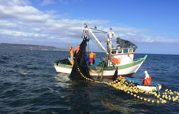 La incorporación de inteligencia artificial y sistemas de análisis de información tiene el potencial de transformar distintas tareas vinculadas a la actividad diaria de la pesca artesanal.