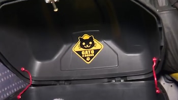 Zafiro cuenta con todo lo