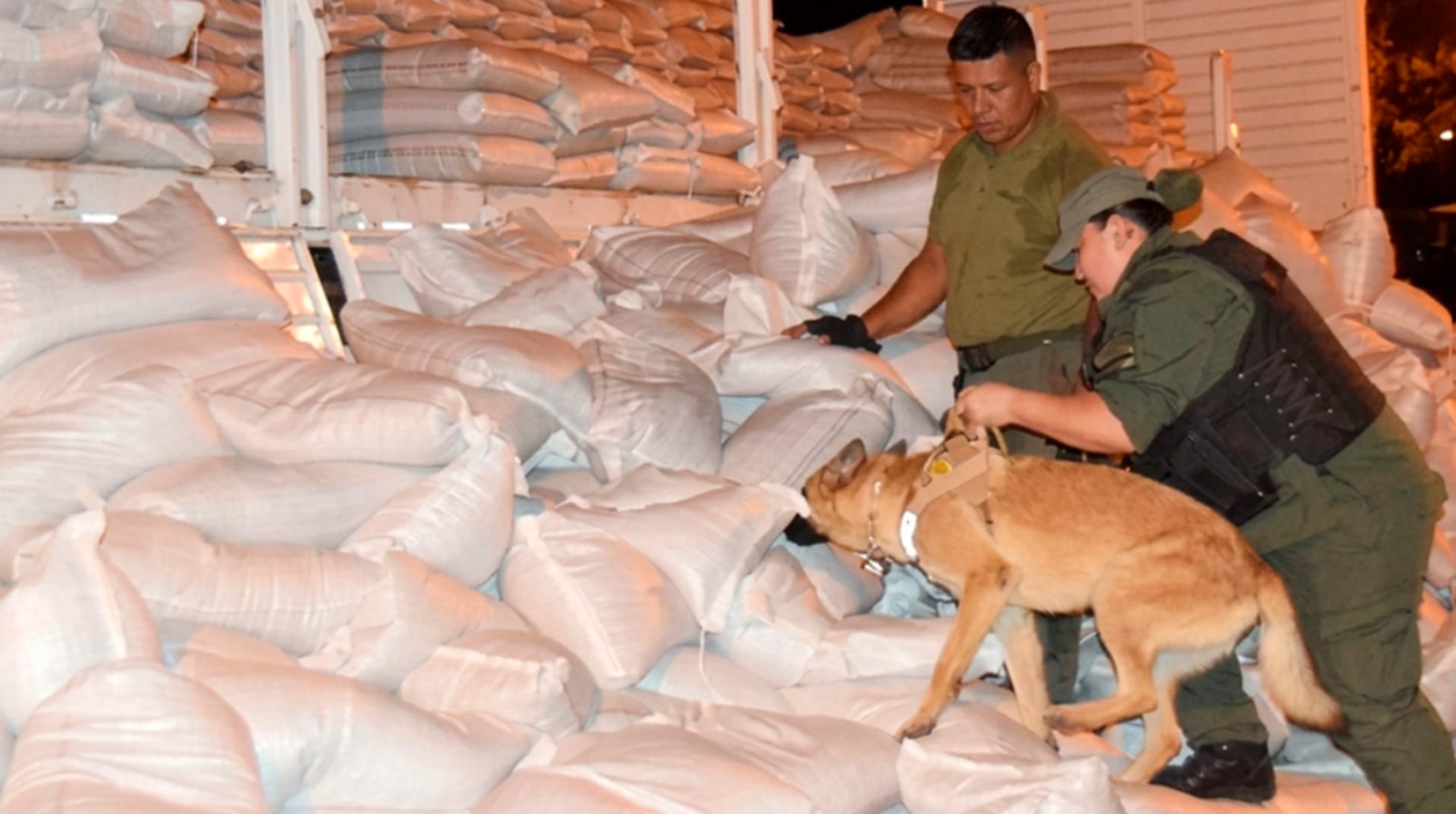 Oficiales de policía y un perro detector inspeccionan cientos de sacos blancos durante una incautación de drogas masiva en Rosario, un operativo vinculado al jefe narco René 'Manudo' Guzmán (Fiscales.gob.ar)