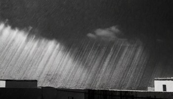 Temperatura, probabilidad de lluvia, nubosidad