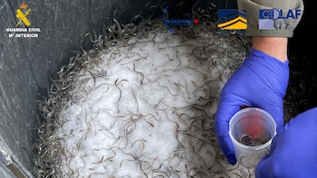 Desarticulada una red de contrabando