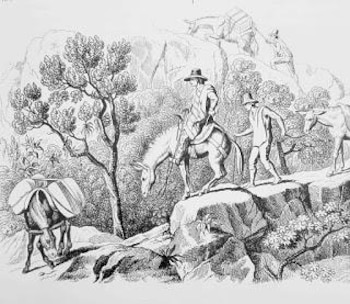 Mulas trasladando las piezas de