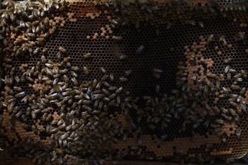 En estos meses fríos, la