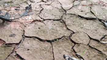El World Infrastructure Forum (WIF) sitúa la resiliencia climática y la inversión como futuro del sector