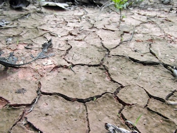 05/11/2018 Sequía, cambio climático
ECONOMIA CATALUÑA ESPAÑA EUROPA BARCELONA SOCIEDAD
URV