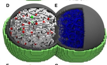 La bacteria JCVI-Syn3A, con el