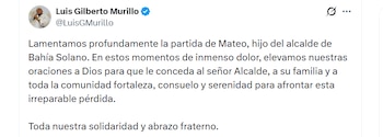 La muerte del pequeño llamó la atención en particular - crédito LuisGMurillo / X