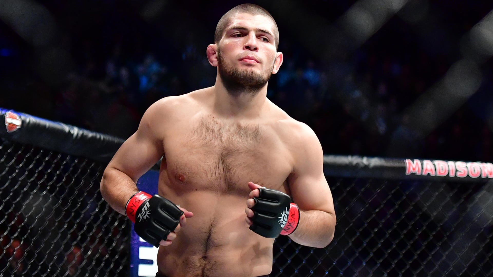 Khabib afirmó que su motor competitivo era el rechazo a perder y contó que sostenía una rutina de hasta tres entrenamientos diarios para no ceder terreno (Jason Silva/ Alamy Live News)