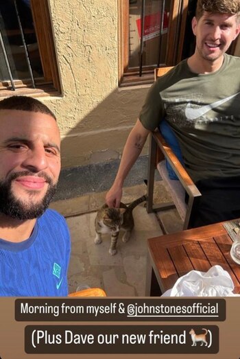 El gato Dave que adoptó Kyle Walker y John Stones (Instagram)