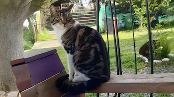 De acuerdo con lo compartido