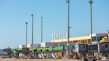 El Pleno de Sevilla pide