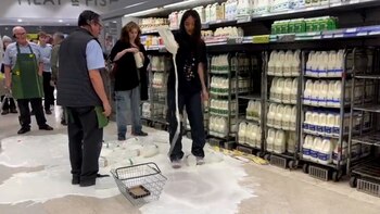 Activistas veganos derramaron leche en