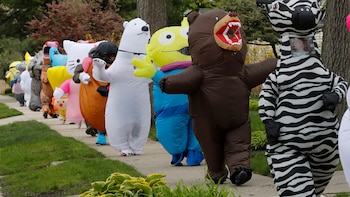 El propósito del T-Rex Walking