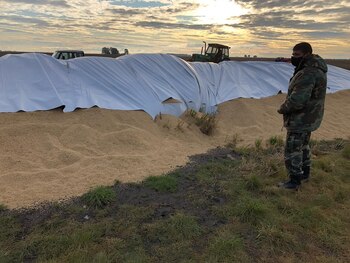 El silobolsa vandalizado en el