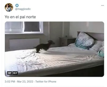 El festival se ha convertido