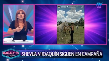 Magaly Medina arremete contra Sheyla Rojas y le recuerda a Sir Winston por defender a Joaquín Ramírez: “Contigo no se iba a casar”. Captura: Magaly TV La Firme.