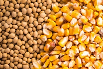 Los precios de indiferencia han